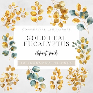 Clipart de folhas de eucalipto verde e dourado, gráficos de clipart PNG de folha de ouro, download instantâneo para uso comercial
