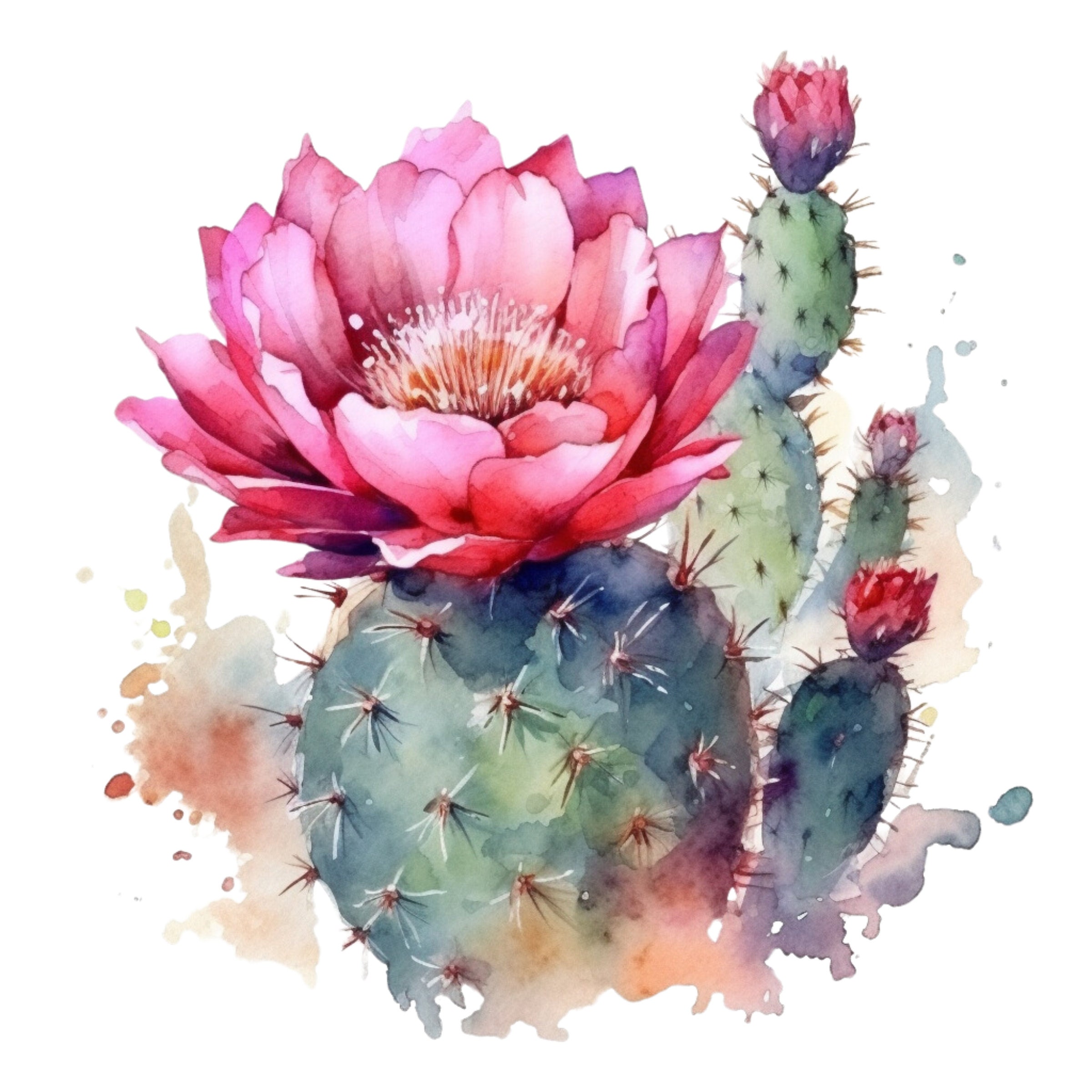 Cactus Flower Watercolor Clipart, Cactus Flower Clipart for Commercial ...