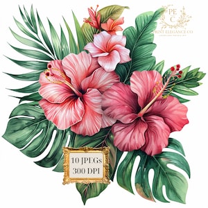 Tropical Watercolor Floral Clipart, Summer Clipart, Tropical Flowers, Tropical Floral Clipart, Summer Tropical Clipart, Commercial Use