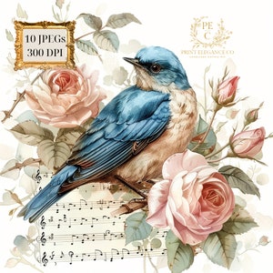 Pacote de clipart de pássaro azul com rosas e partituras - 10 JPGs em aquarela de alta qualidade - arte musical, fornecimento de álbum de recortes, download digital