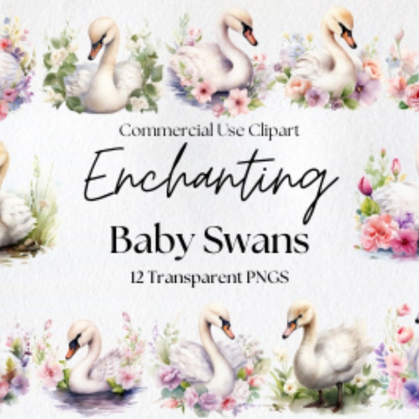 12 Watercolor Baby Swans Clipart Pack Clipart for commercial use Transparent PNGs Nursery Clipart Swans