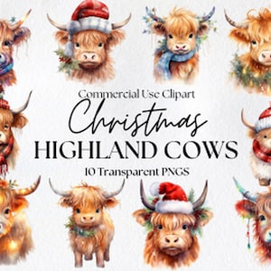 10 Watercolor Christmas Highland Baby Cows Clipart, Winter Nursery bundle, PNG Bundle, Digital Download, Card Making, Digital Paper Craft