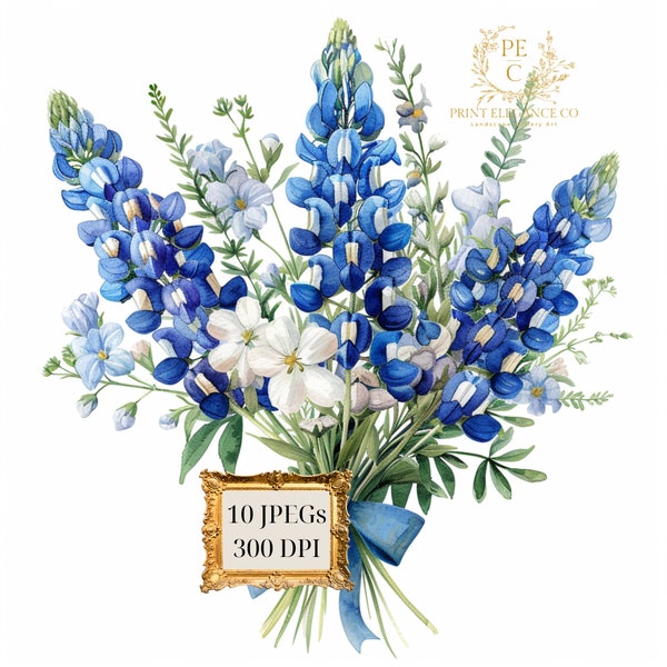 Watercolor Bluebonnet Clipart Bundle, Texas Bluebonnet Clipart, Floral Clipart, Spring Flowers Clipart, Texas State Flower, Wedding Florals