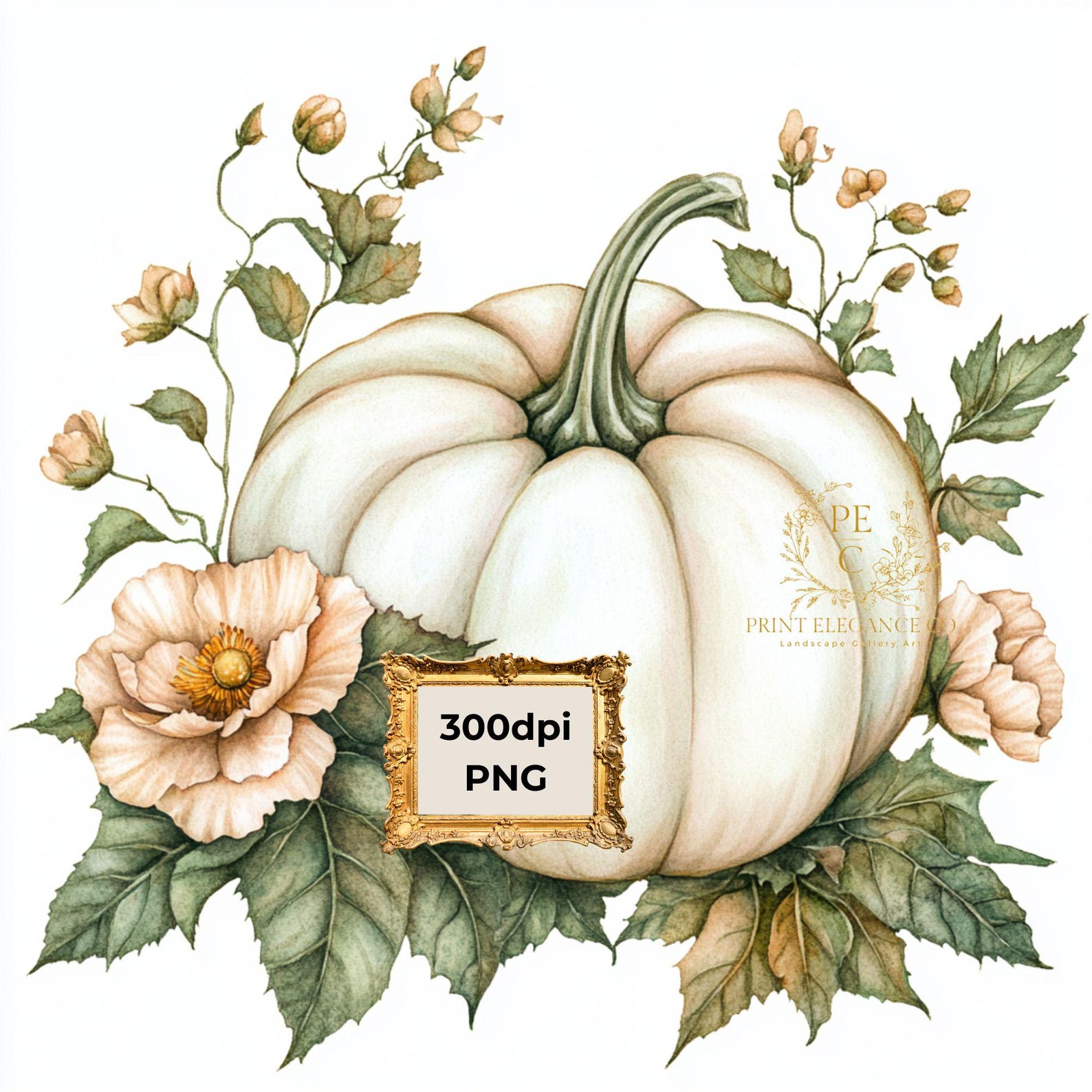 White Pumpkin Clipart, DIGITAL DOWNLOAD, Pumpkin Clipart Bridal Shower ...