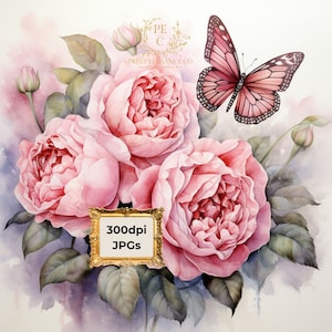 10 hochwertige Aquarell rosa Englische Rosen und Schmetterlinge Clipart - Fantasy Clip Art, Junk Journals, sofortiger Download, kommerzielle Nutzung