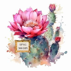 Kaktus Blume Aquarell Clipart, Kaktus Blume Clipart für kommerzielle Nutzung, South West Art, Southwestern Wall Art, | EINZELBILD |