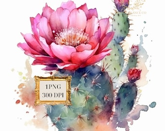 Puede incluir: Una pintura de acuarela de una flor de cactus rosa floreciendo en una planta de cactus verde. El cactus tiene espinas y está rodeado de salpicaduras de acuarela.