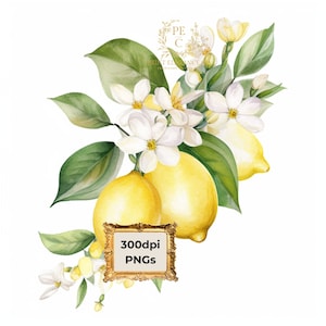 May include: Watercolor painting of a lemon tree branch with white blossoms and yellow lemons. The image includes the text "300dpi PNGs".