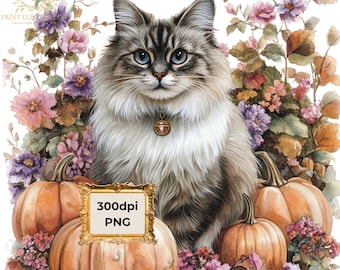 Fall Cat Clipart, Cute Autumn Cats Clipart, Cat Clip Art, Fall Cat Clipart Images, Cute Cats With Pumpkins Clipart, Fall Clipart
