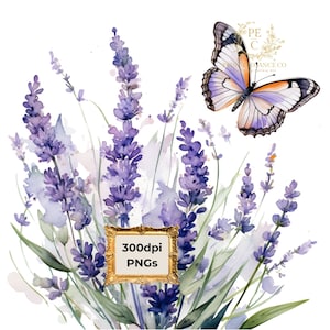 Lavendel Clipart Aquarell Blumen PNG Blumen Clipart Frühling PNG Blume Schmetterling Clipart Lila Blume PNG Garten Clipart | Kommerzielle Nutzung