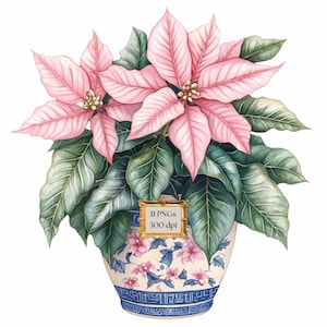 水彩画のグランドミレニアルクリスマス クリップアート、ブルー ピンクのシノワズリー、ビンテージ PNG、水彩画のピンクのポインセチア、クリスマス ギャラリー ウォール アート