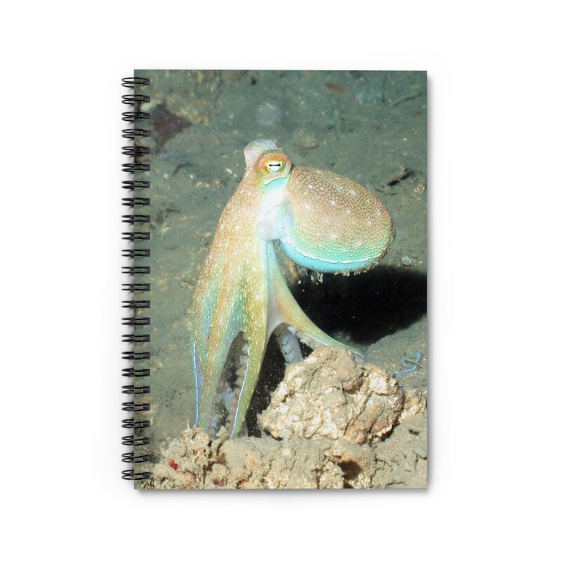 Octopus Notebook - Etsy