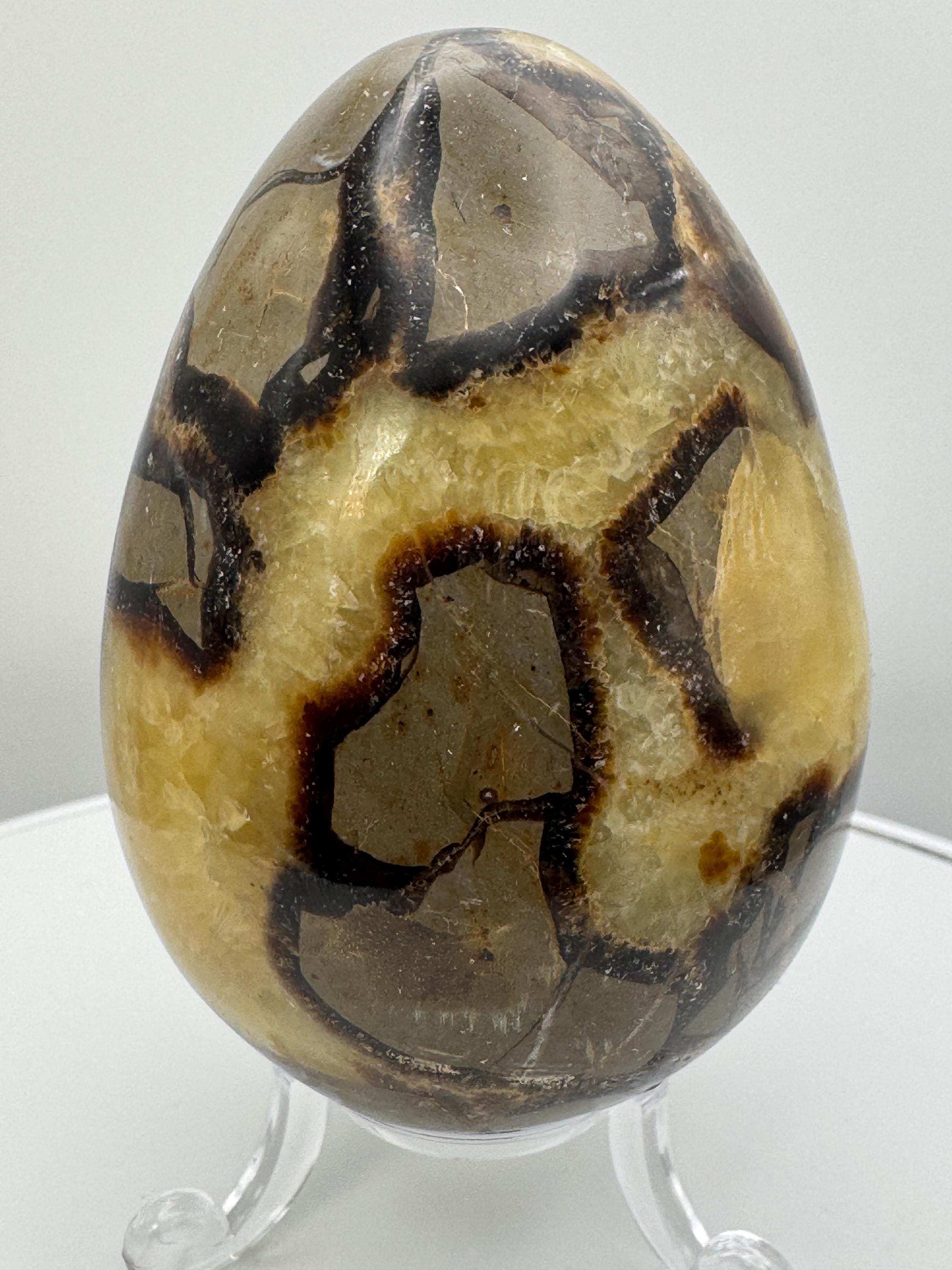Polished Septarian Egg - Home or Gift
