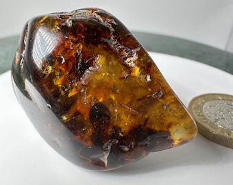 Baltic Amber - Home and Gift