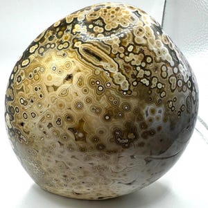 Exceptional Polished Orbicular Ocean Jasper Freeform - 1kg  - Home or Gift