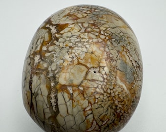 Ibis Jasper Palm Stone  - Home or Gift