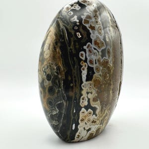 Orbicular Ocean Jasper Freeform - 452 grams  - Home or Gift