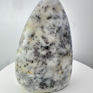 Cristal de dendritique (merlinite) opale de forme libre - 275 grammes