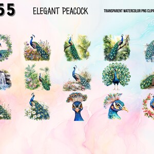 May include: A set of 12 watercolor illustrations of peacocks in various poses. The peacocks are depicted in a variety of settings, including gardens, forests, and waterfalls. The illustrations are all in a vibrant and colorful style.