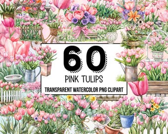 Imágenes prediseñadas de tulipanes rosas en acuarela, ramo floral de tulipanes, tulipán de primavera PNG, flores en acuarela, imágenes prediseñadas botánicas de tulipanes para decoración de bodas