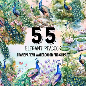 May include: A set of 55 watercolor clipart images of peacocks in various poses. The peacocks are depicted in shades of blue, green, and gold, with intricate tail feathers. The images are set against a background of flowers and foliage.