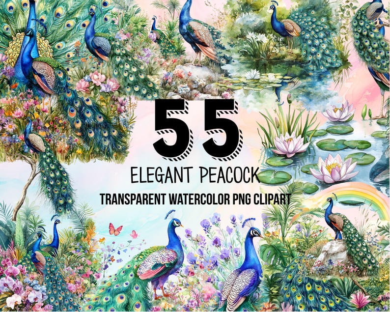 May include: A set of 55 watercolor clipart images of peacocks in various poses. The peacocks are depicted in shades of blue, green, and gold, with intricate tail feathers. The images are set against a background of flowers and foliage.