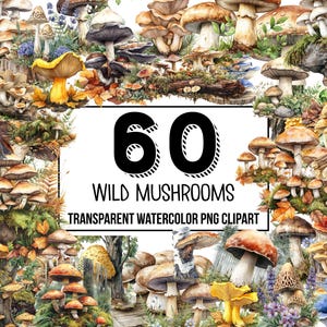 May include: A collection of 60 watercolor illustrations of wild mushrooms. The mushrooms are depicted in various shapes, sizes, and colors, with some featuring intricate details. The illustrations are perfect for adding a touch of nature to your designs.