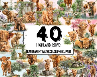 Highland Cows Watercolor clipart – baby highland png, highland cow flower, sunflower png, watercolor cow, clipart png, highland cow clipart