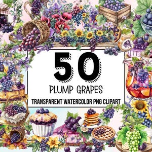 Plump Grapes Clipart Bundle - watercolor wine grapes, wine bottle, wine glass png, grapes clipart set, digital download for commercial use