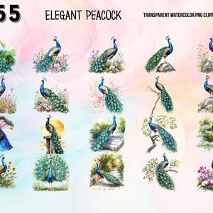 May include: A set of 12 watercolor illustrations of peacocks in various poses. The peacocks are depicted in a variety of settings, including gardens, forests, and meadows. The illustrations are all in a realistic style and feature vibrant colors.
