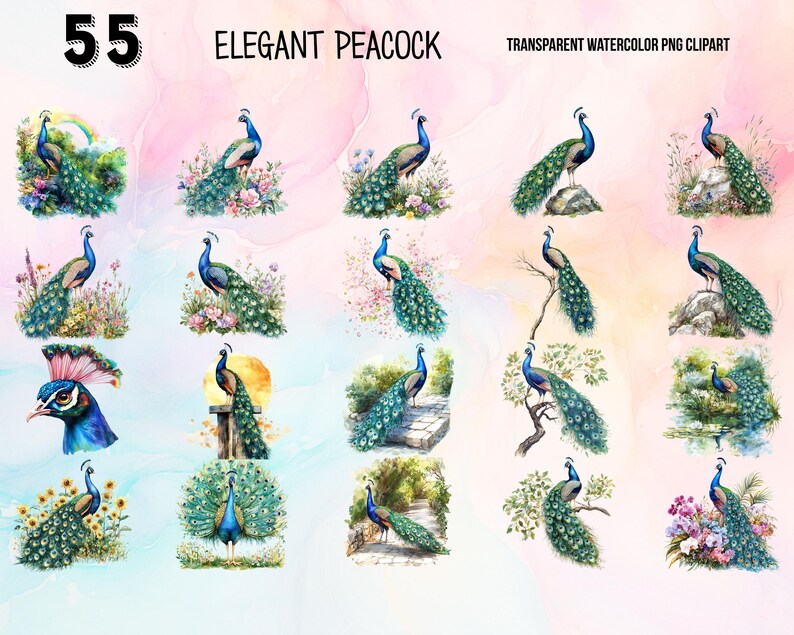 May include: A set of 12 watercolor illustrations of peacocks in various poses. The peacocks are depicted in a variety of settings, including gardens, forests, and meadows. The illustrations are all in a realistic style and feature vibrant colors.