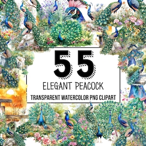May include: 55 watercolor illustrations of peacocks in various poses, with vibrant green, blue, and gold colors. The peacocks are surrounded by flowers and foliage, creating a beautiful and elegant scene. The text "55 Elegant Peacock Transparent Watercolor PNG Clipart" is displayed at the bottom of the image.