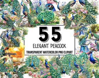 Elegant Peacocks Watercolor Clipart - peacock PNG, floral peacock illustrations, feather clip art, sublimation designs, digital download