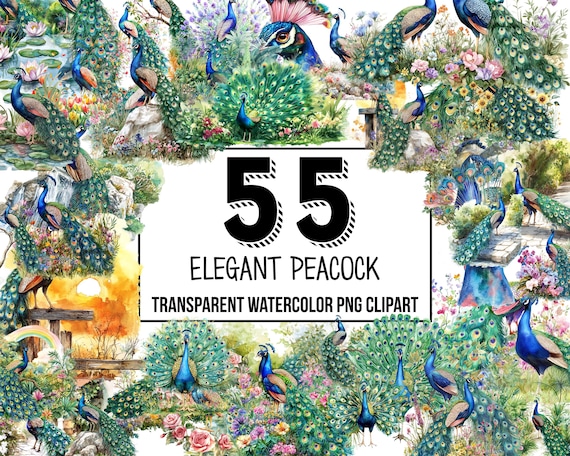 Elegant Peacocks Watercolor Clipart - peacock PNG, floral peacock illustrations, feather clip art, sublimation designs, digital download