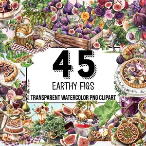 Earthy Figs Clipart - watercolor fig branch, fig tree, fruit clipart, fig wreath png, fig leaves, digital download for commercial use