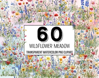 Wildflower Meadow Watercolor Clipart Bundle, Summer Floral Clipart, Meadow Flowers, Wildflower Clipart for Digital Use, Commercial Use PNGs