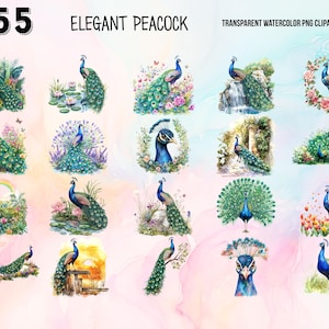 May include: A set of 55 watercolor illustrations of peacocks in various poses and settings. The peacocks are depicted with vibrant blue, green, and gold colors. Some peacocks are shown with their feathers spread out, while others are shown with their feathers closed. The illustrations are perfect for adding a touch of elegance to any project.