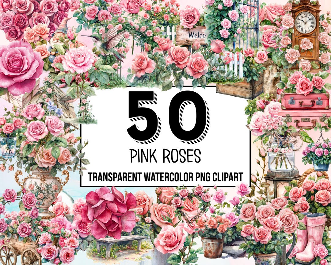 Pink Roses Watercolor Clipart Pack, Spring Clipart, Romantic Flowers ...