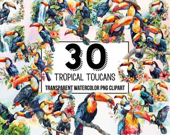 Tropical Toucans Clipart Set Digital download,  digital planner, instant download, watercolor clipart, commercial use