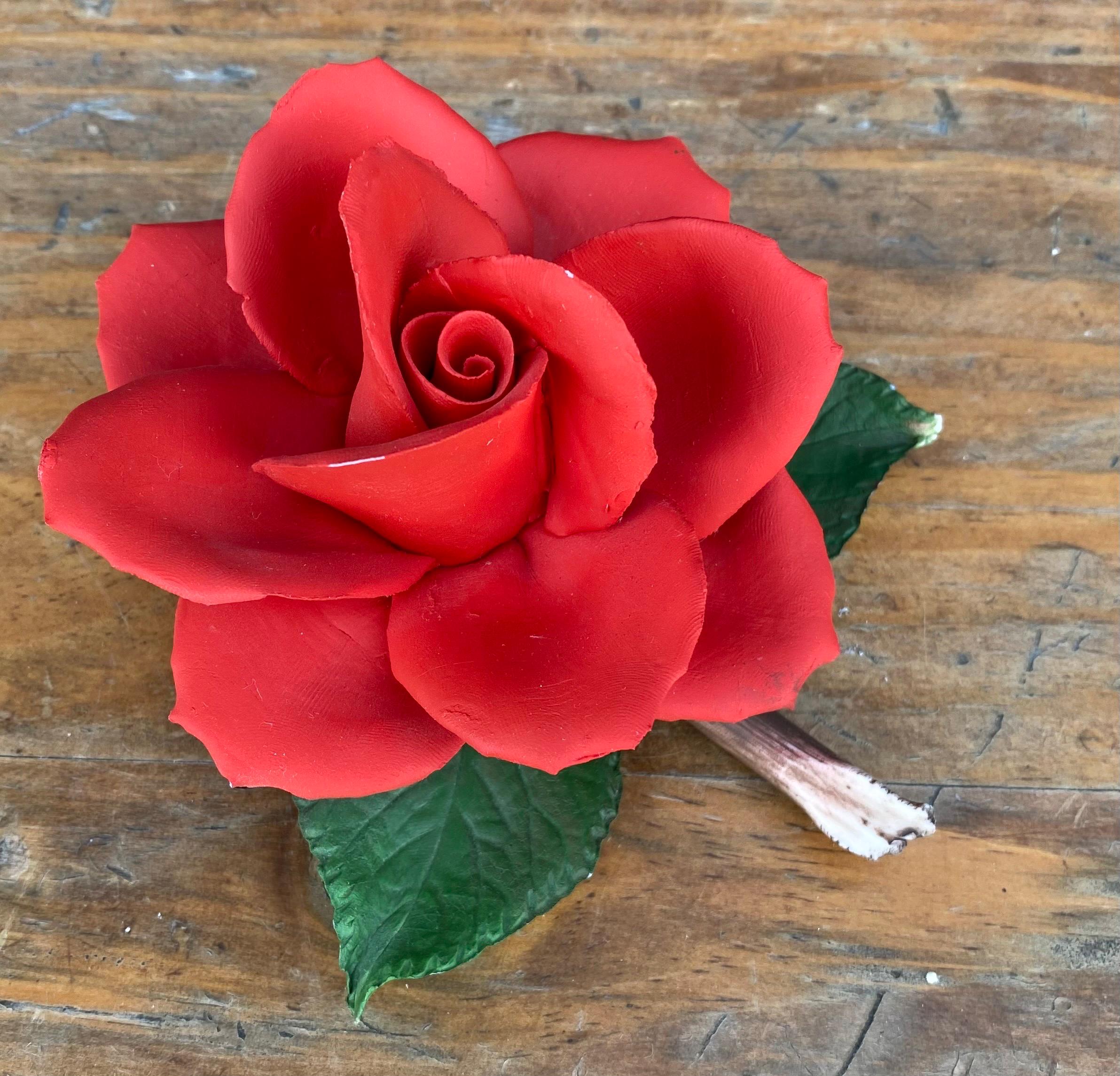 Italy Napoleon Roses - Etsy