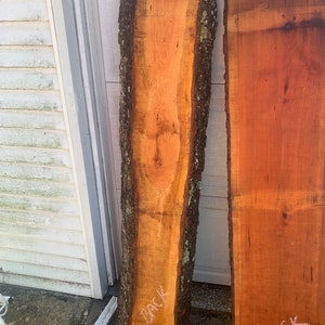May include: Two pieces of wood with live edge, one with a natural bark edge. The wood is a light brown color with a reddish hue. The wood is marked with the word "back" on both pieces. The piece on the left has the word "cool" written on it.
