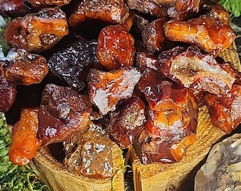 Buy 2, Get 1 FREE!!!  Nothing But The Reds Badger Box Red Colorful Carnelian Agates SW Washington Beautiful Stones For Tumbling Lapidary