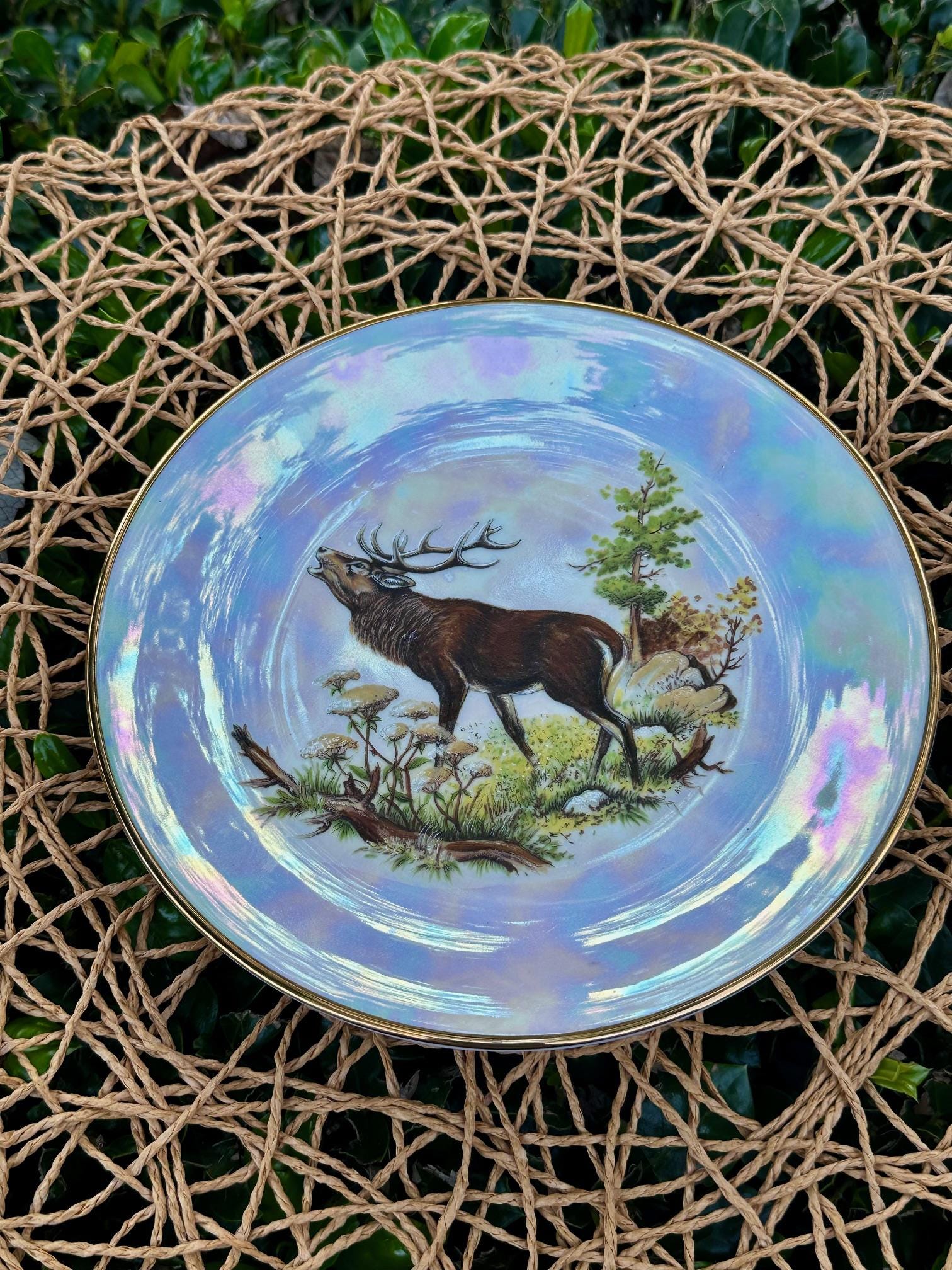 Elks China