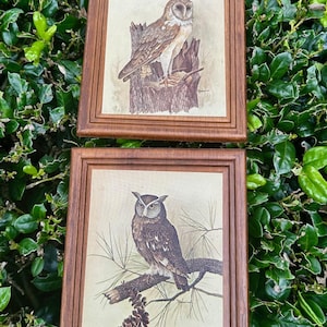 Vintage Owl Wall Art Set–Small Wooden Framed Barn Owl & Great Horned Owl Prints–Rustic Woodland Cabin Decor–Nature Gift-Owl Wall Plaque