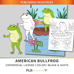 Bullfrog PLR Bundle with Commerical Rights | Full Color Cover, Coloring Page, Color Image, Black and White Image | Quality High Resolution