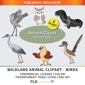 Birds Clipart for Children with Commerical Use Rights | Digital PLR Animal Clipart Bundle - use for Digital Stickers, Printables, and Books