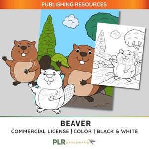 Beaver PLR Bundle with Commerical Rights | Full Color Cover, Coloring Page, Color Image, Black and White Image | Quality High Resolution