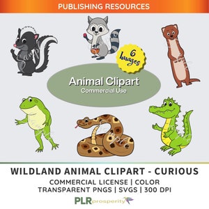Curious Clipart Bundle for Children with Commerical Rights | Animals for Kids | Animal Clipart | High Resolution | PNGS & SVGS | Digital PLR