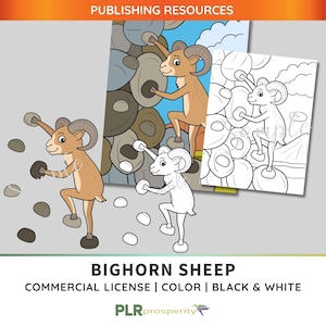 Bighorn Sheep PLR Bundle with Commerical Rights | Full Color Cover, Coloring Page, Color Image, Black-White Image | Quality High Resolution