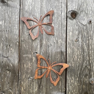 Papillon decor -  Canada